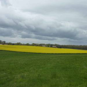 Photos Charente-Maritime